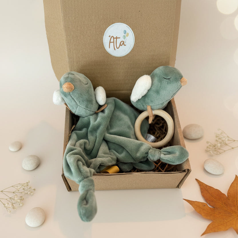 Set of green baby  toys in a box with 'Ata' branding on a grey background